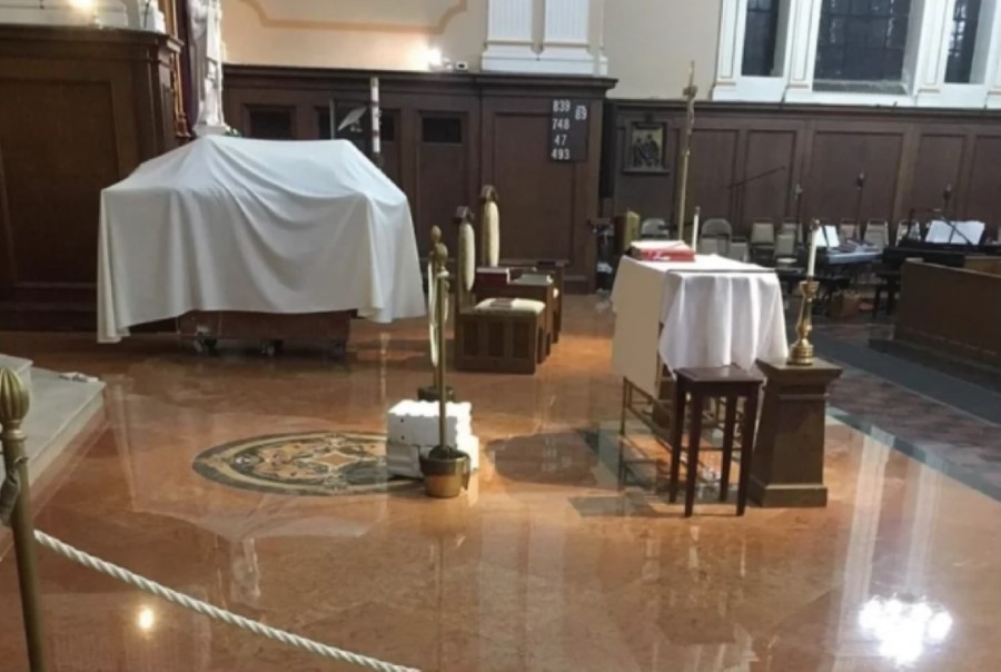 Rosa Verona4 Rosa Verona4